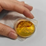 Assorted sizes of clear PVC hanging hole ziplock bags for vintage and modern coin storage.